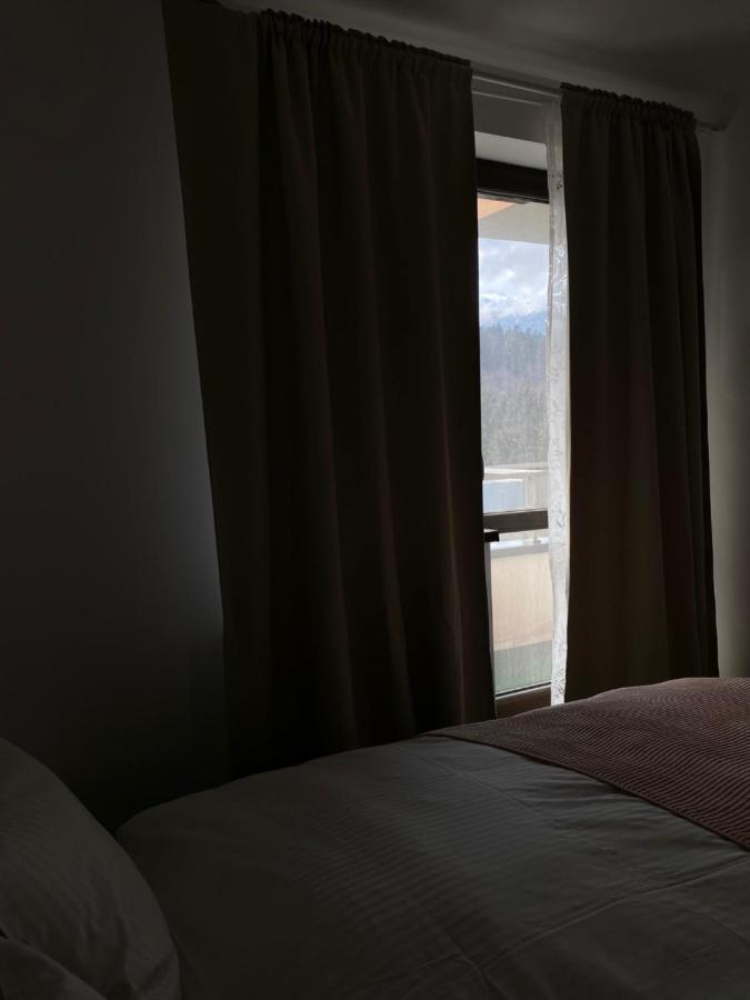 Apartament Ioana'S Apartament Sinaia Zewnętrze zdjęcie
