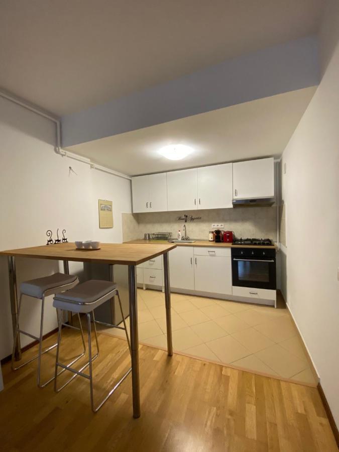 Apartament Ioana'S Apartament Sinaia Zewnętrze zdjęcie