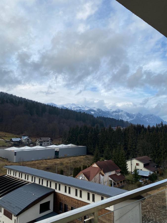Apartament Ioana'S Apartament Sinaia Zewnętrze zdjęcie