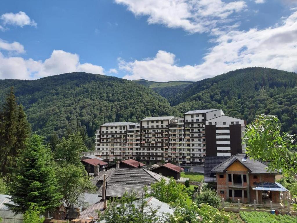 Apartament Ioana'S Apartament Sinaia Zewnętrze zdjęcie